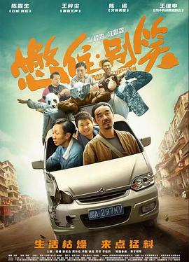 关于金毛的